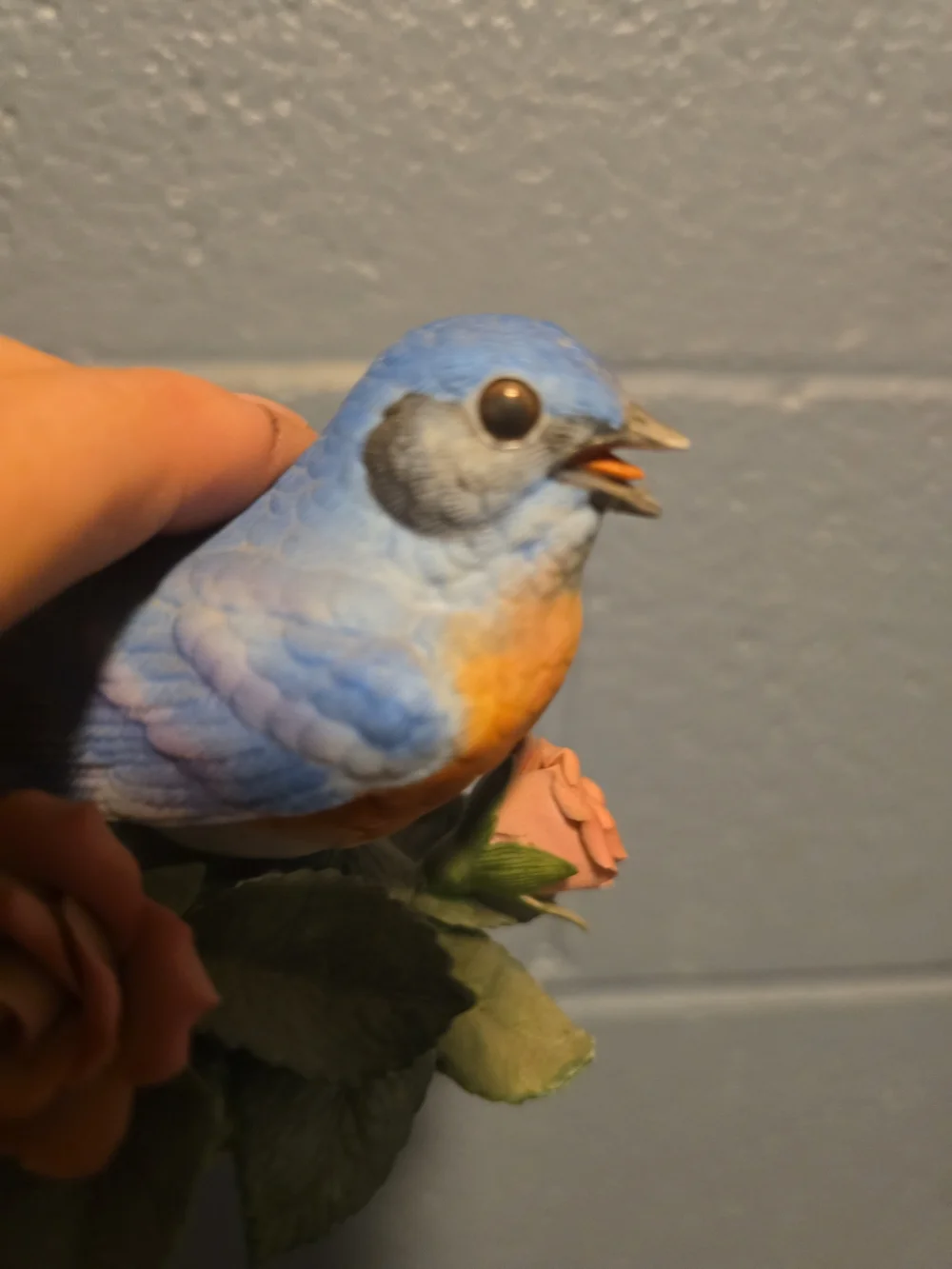 N/A beautiful blue